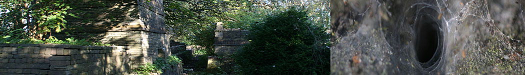 An Image Slideshow