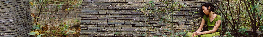 An Image Slideshow