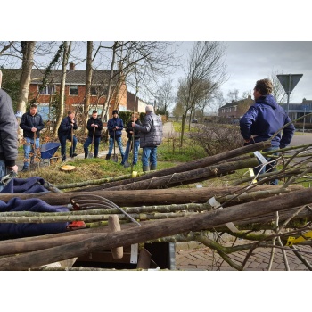 doneer-een-boom-le-ecokathedraal_1200997154