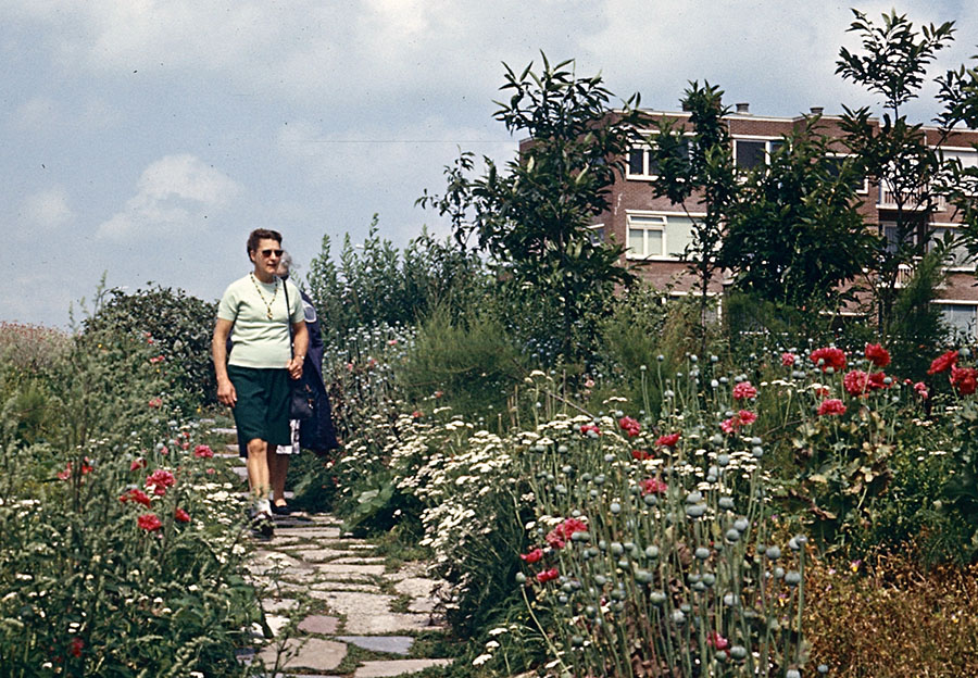 Heerenveen park le roy 31 7 1972