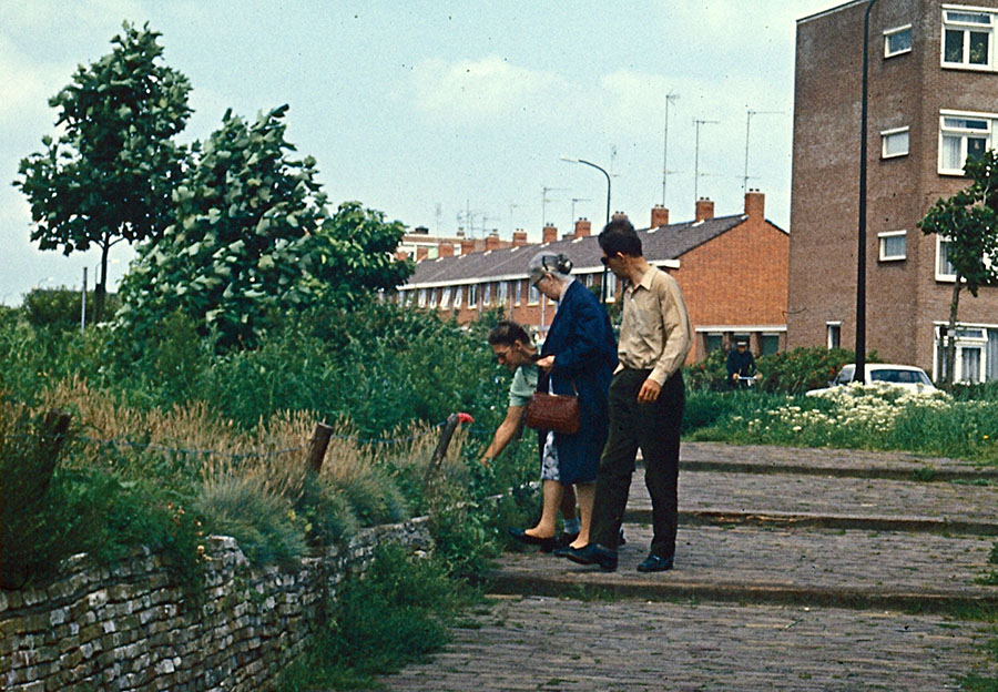 heerenveen park le roy Oma herman 31 7 1972