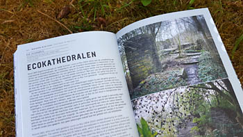 Stadsnatuur maken: ecokathedralen