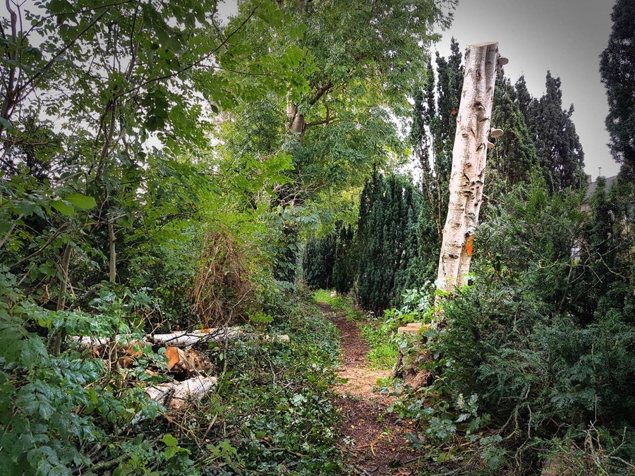 dode bomen le roy tuin blijven staan