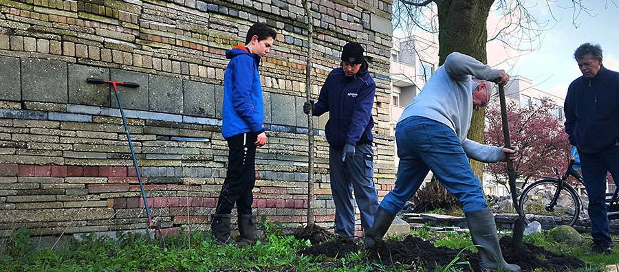 doneer een boom le roy tuin hor