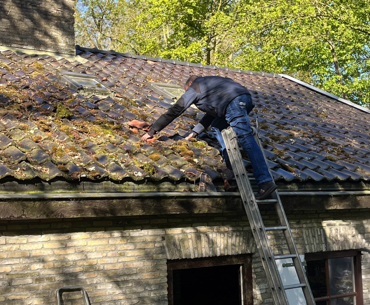 Meindert de Jong van Monumentenwacht Fryslân inspecteert het atelier in de ecokathedraal in Mildam. (foto: Marcel Prins)
