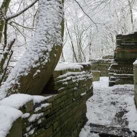 Ecokathedralen onder sneeuwdeken