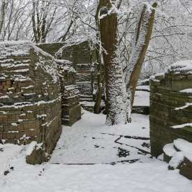 Ecokathedralen onder sneeuwdeken