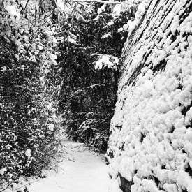 Ecokathedralen onder sneeuwdeken