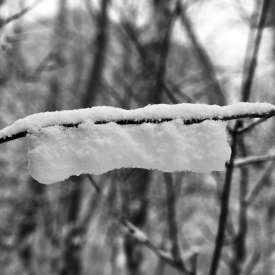 Ecokathedralen onder sneeuwdeken
