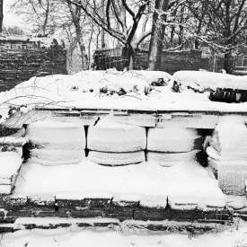 Ecokathedralen onder sneeuwdeken