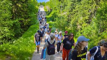 Wandeling van 1,6 km naar de Future Forrest in Oslo